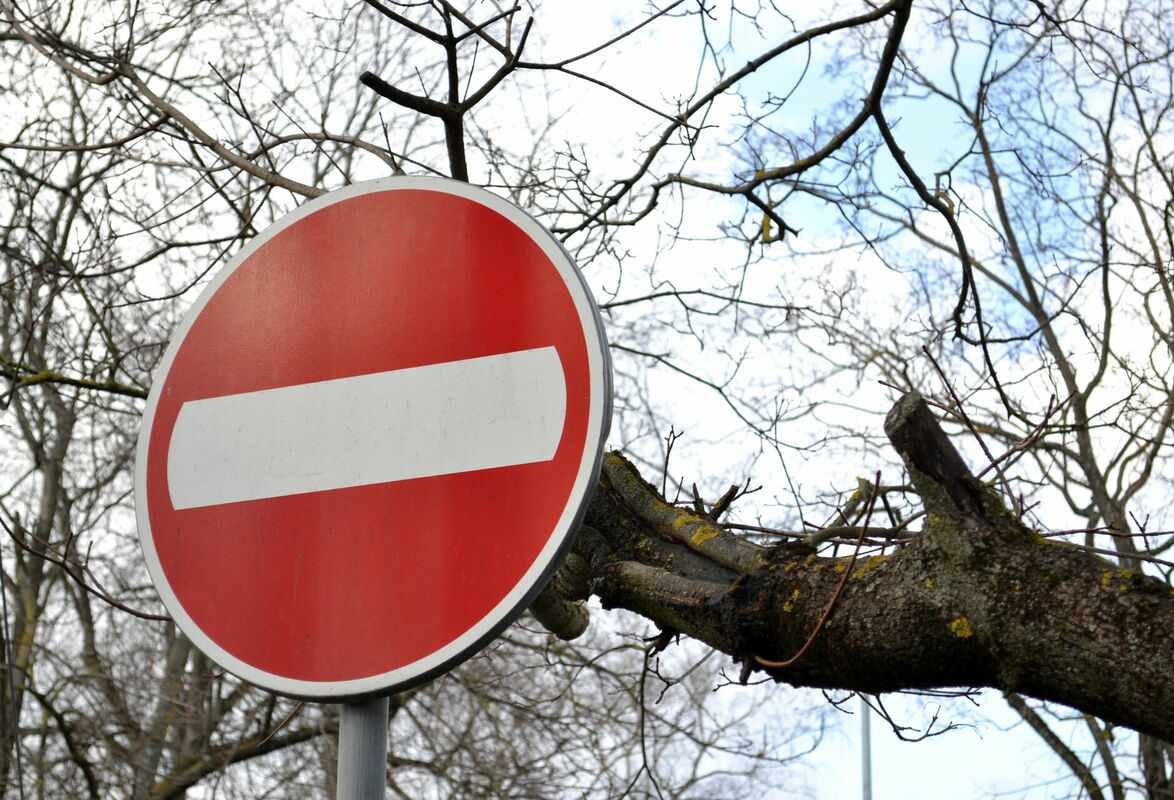 Foto: Renāte Briede/ LETA