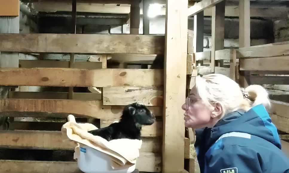 Foto: ekrānuzņēmums no 1188play