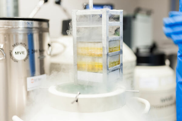 Foto: iVF Riga klīnika