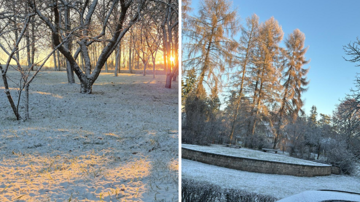 Foto: Facebook/Evija Krivmane un 1188.lv