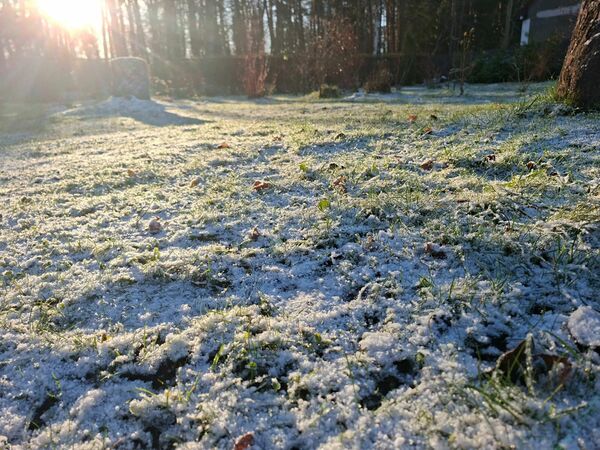 Foto: 1188.lv