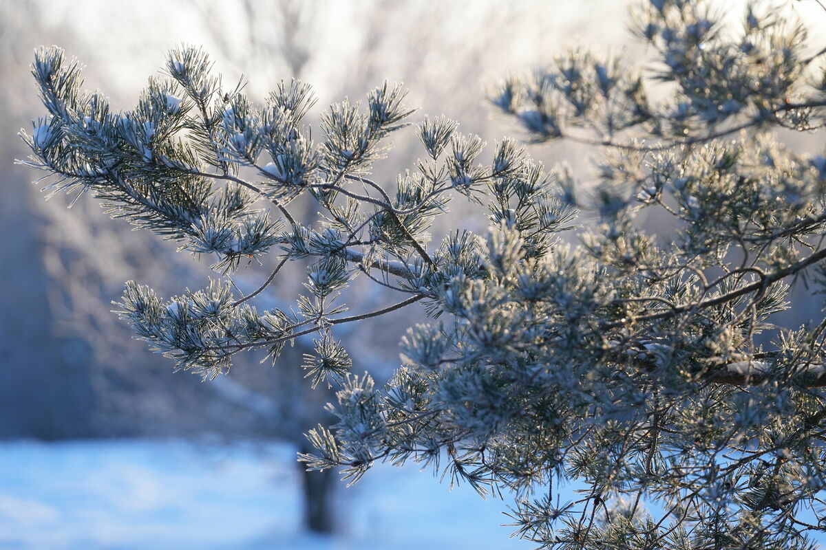Evija Trifanova/LETA