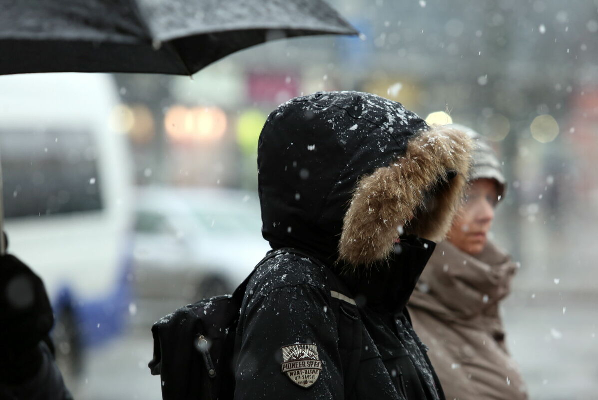 Foto: Edijs Pālens/LETA