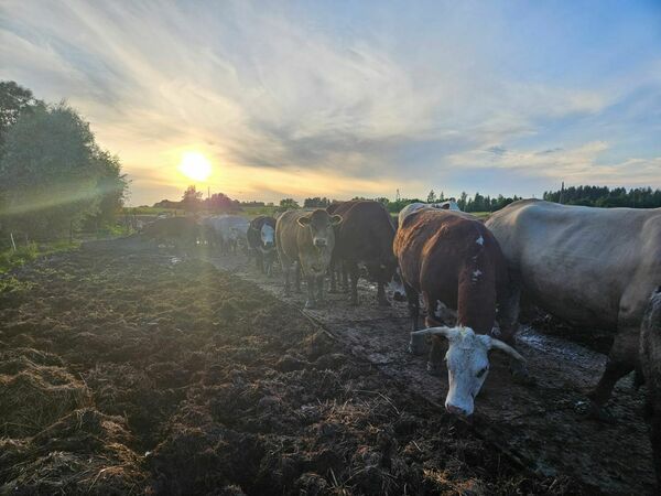 Foto: Road Systems Baltic