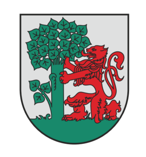 "Sauleszaķis" pirmsskolas izglītības iestāde