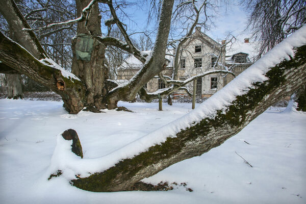 Foto: Dainis Kārkluvalks