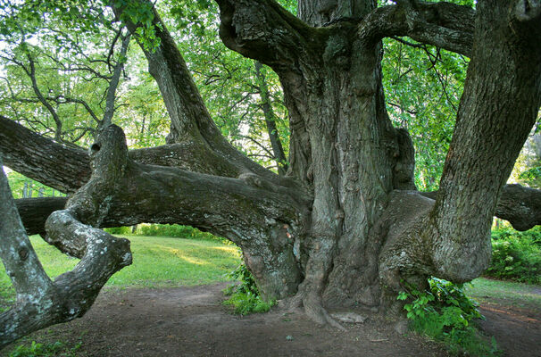 Foto: Dainis Kārkluvalks