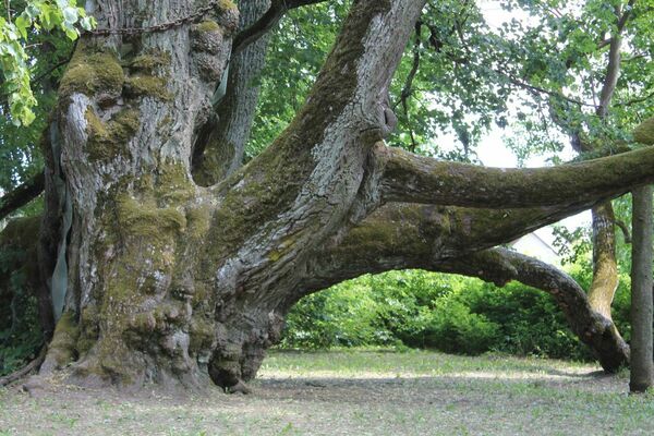 Foto: Dainis Kārkluvalks