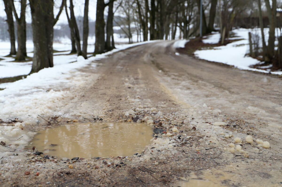 Foto: Līga Gredzena/LETA