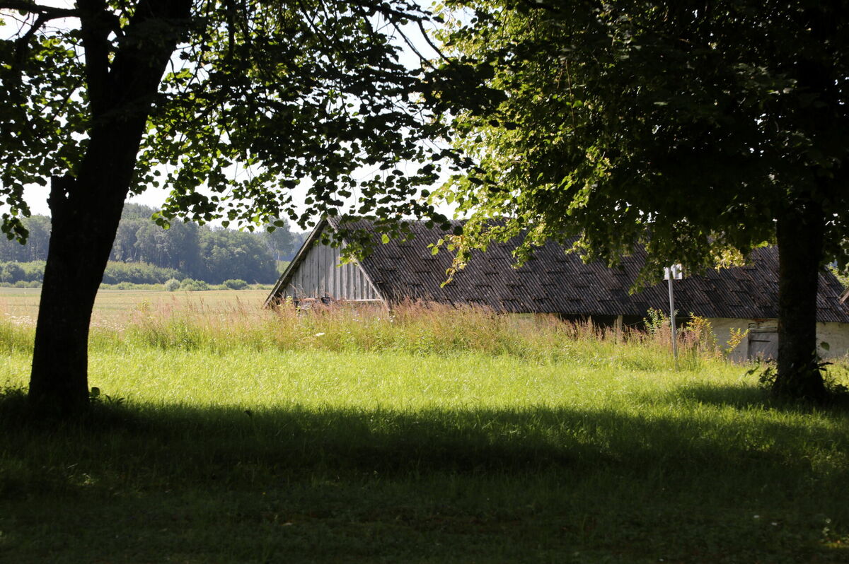 Foto: Evija Trifanova/LETA