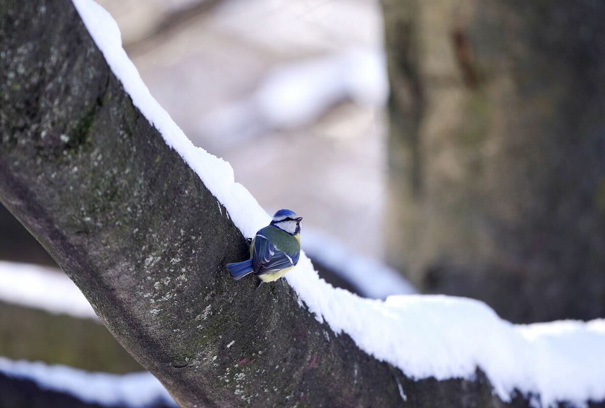 Foto: Zane Bitere/LETA