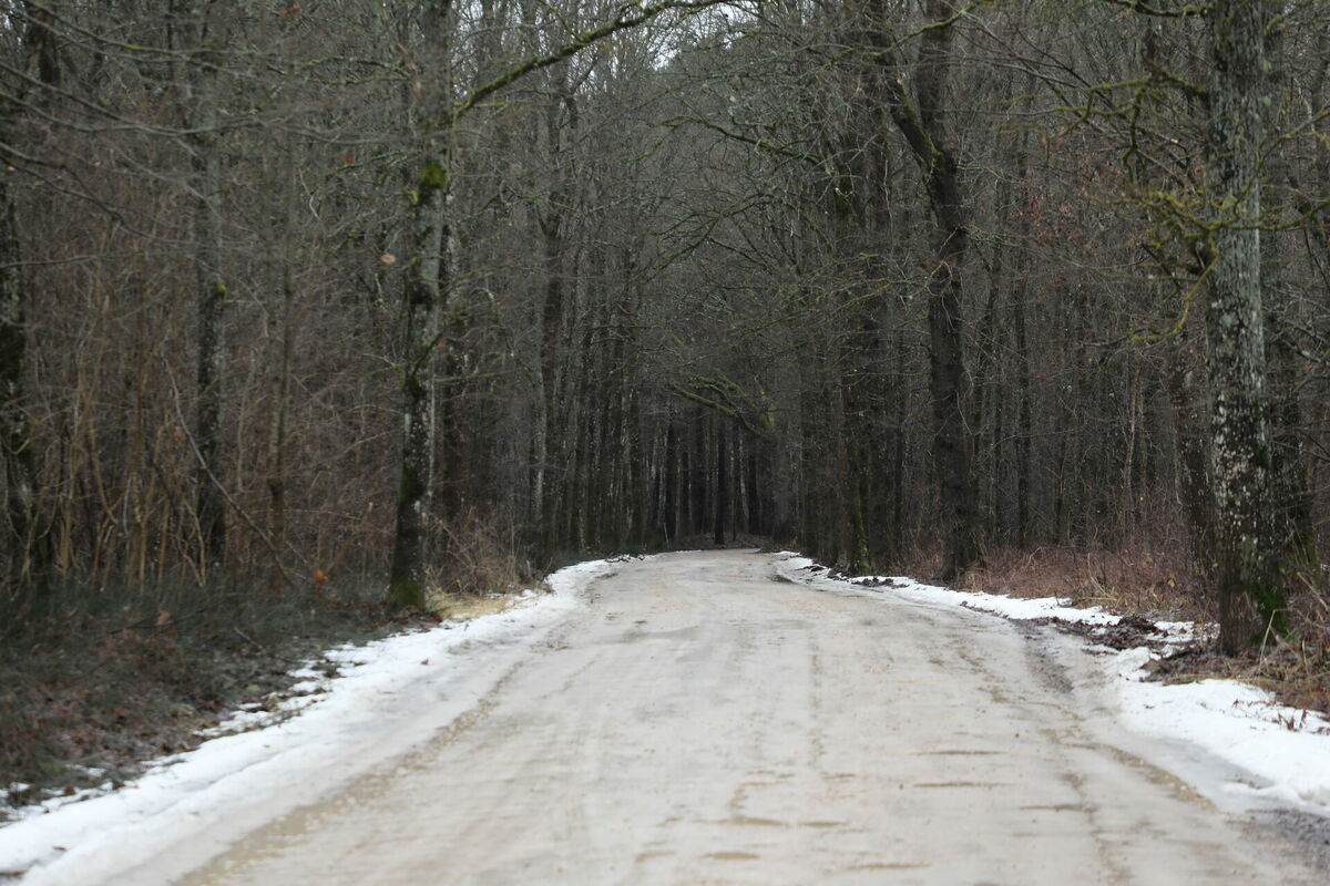 Ādaži. Foto; Evija Trifanova/LETA