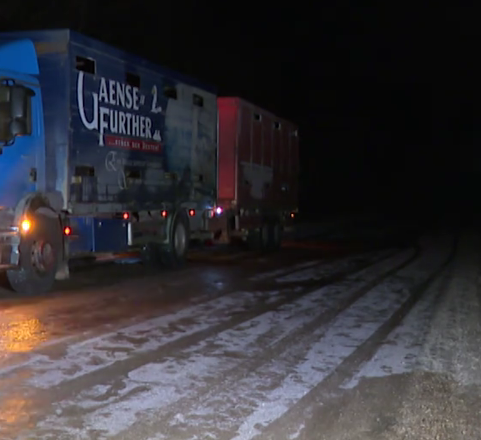 Foto: Ekrānuzņēmums no sižeta