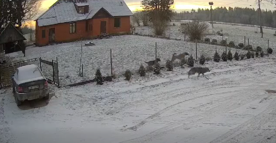 Foto: Ekrānuzņēmums no Facebook