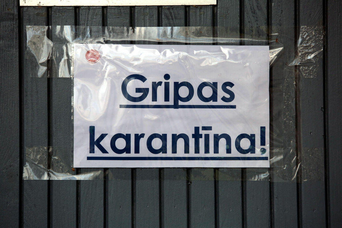 Ilustratīvs attēls. Foto: Edijs Pālens/LETA