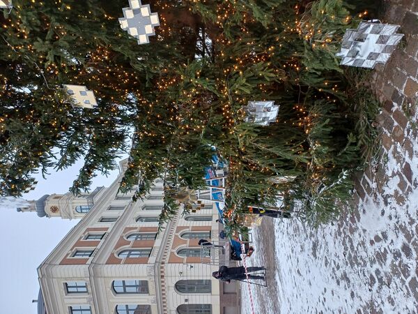 Rīgas galvenā egle Rātslaukumā. Foto: 360 Ziņas