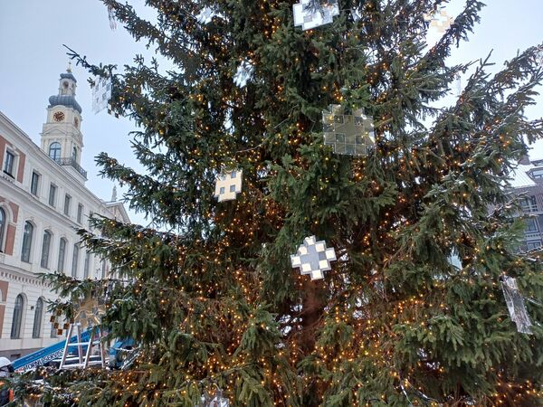 Rīgas galvenā egle Rātslaukumā. Foto: 360 Ziņas