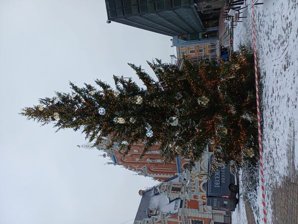 Rīgas galvenā egle Rātslaukumā. Foto: 360 Ziņas