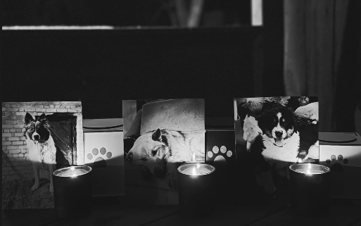 Foto  "Instagram"/ modra.olas