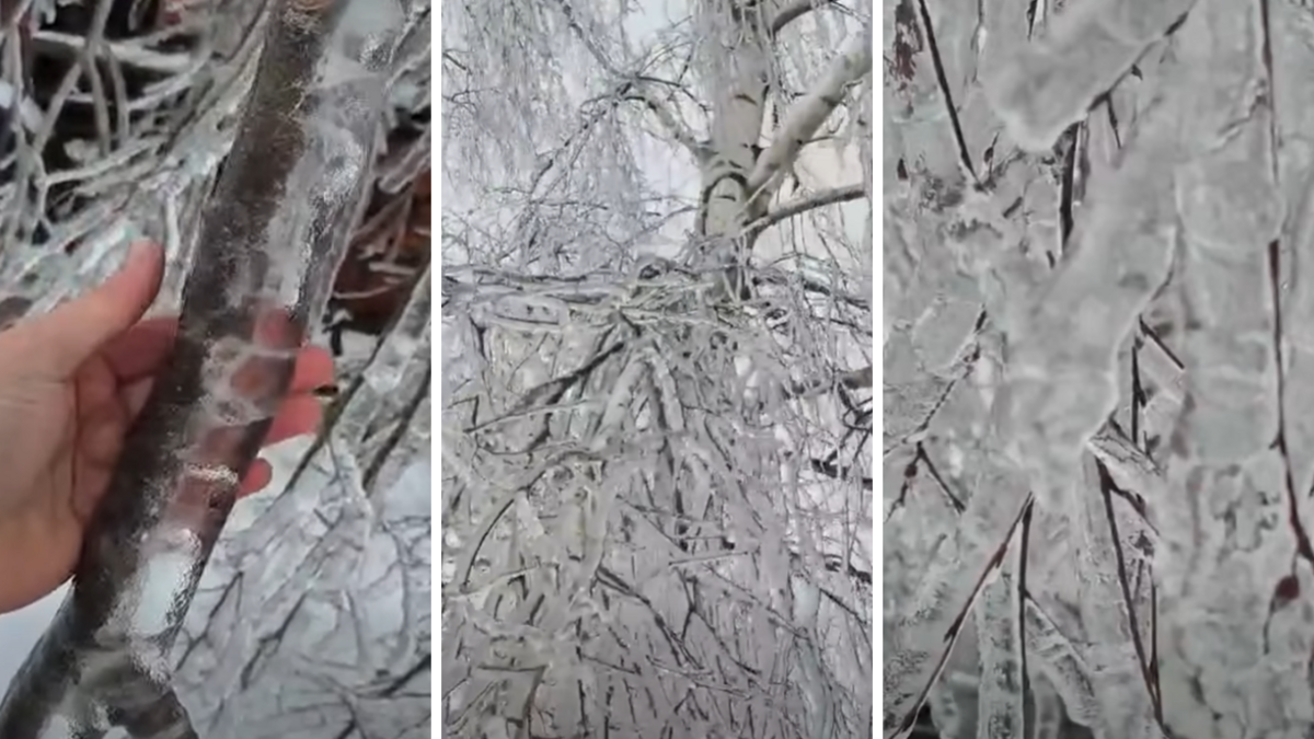 Foto: Ekrānuzņēmums no Inese Ķīpa video/Facebook