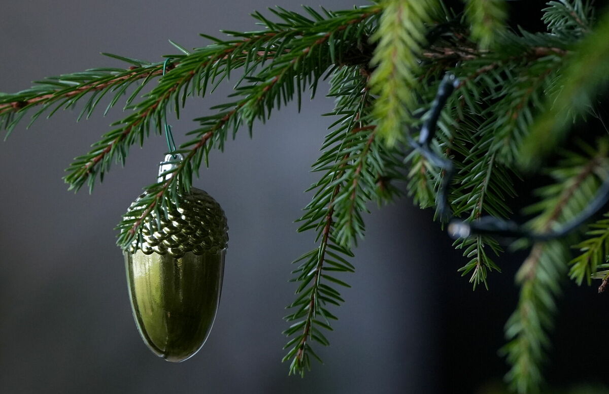 Evija Trifanova/LETA