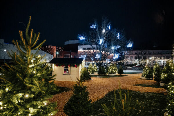 Foto: Publicitātes attēls/Uģis Brālēns