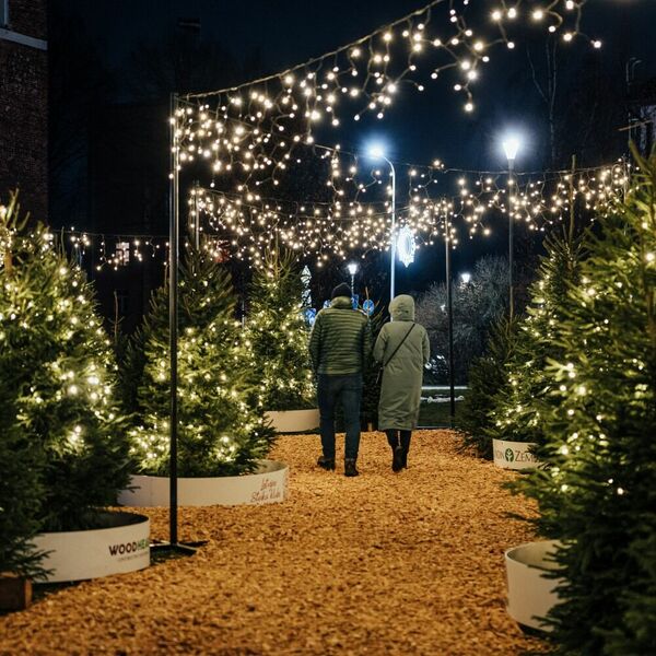 Foto: Publicitātes attēls/Uģis Brālēns