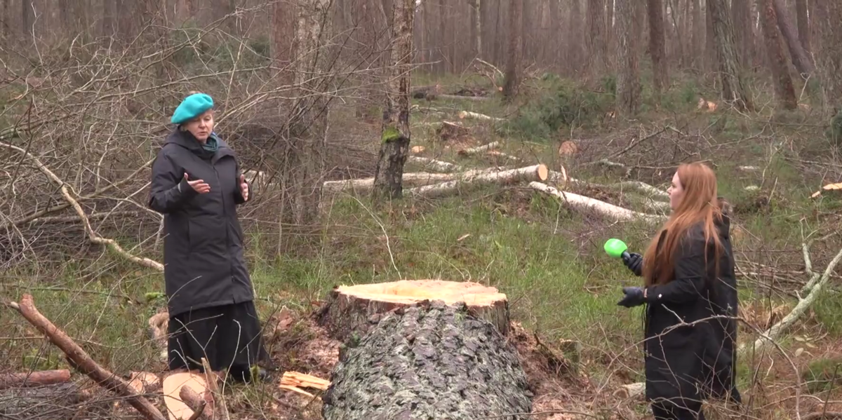 Foto: Ekrānuzņēmums no sižeta