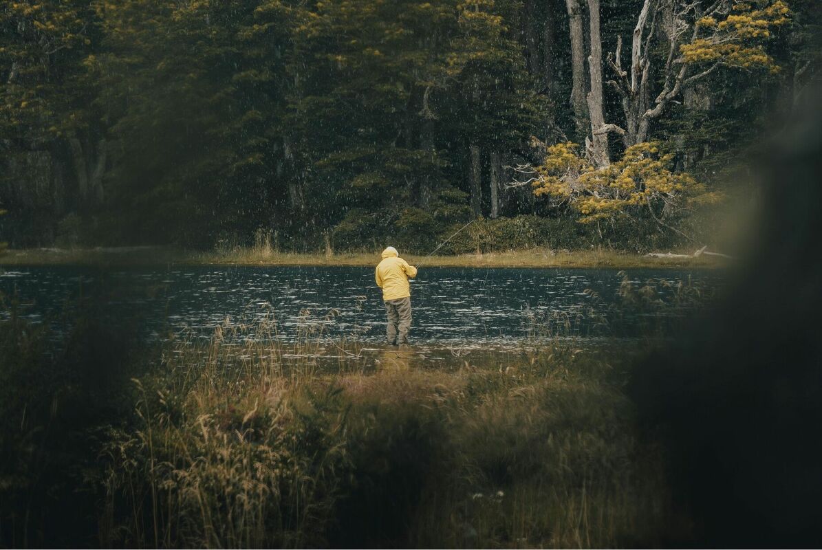 Foto: Gaspar Zaldo, Pexels.com