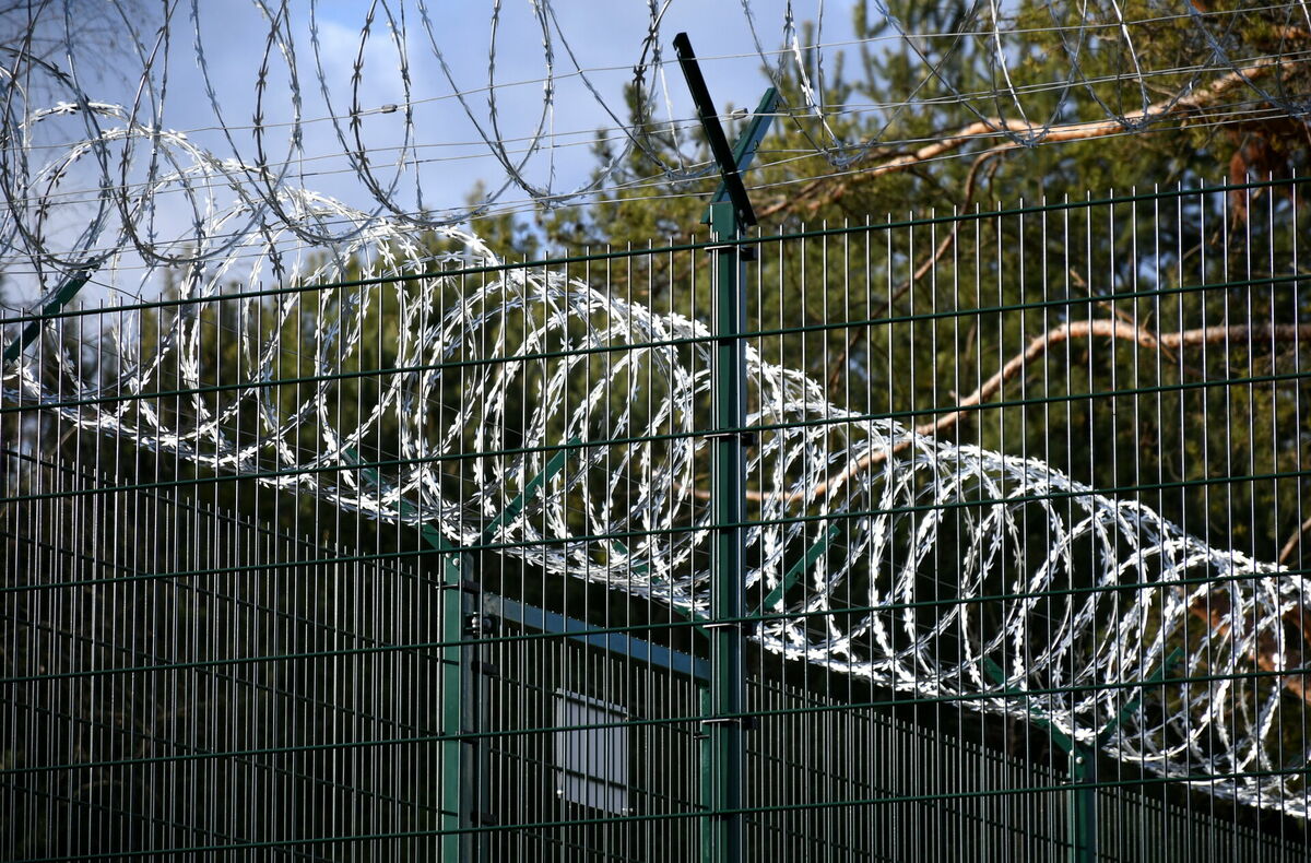 Latvijas-Baltkrievijas robeža Kaplavas pagastā. Foto: Ivars Soikāns/LETA