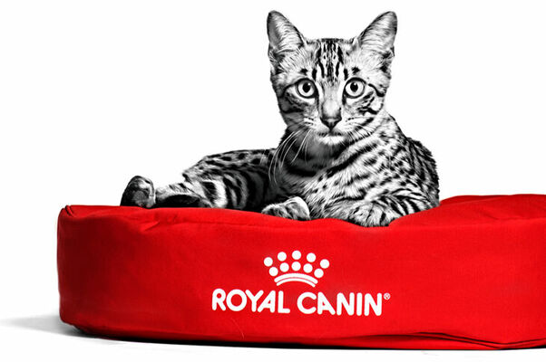 Foto: facebook.com/RoyalCaninLatvia