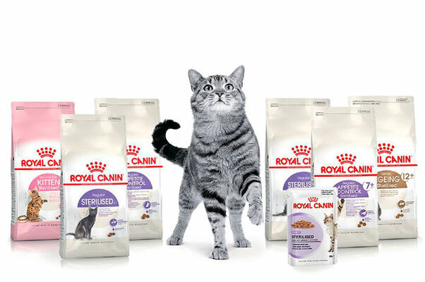 Foto: facebook.com/RoyalCaninLatvia