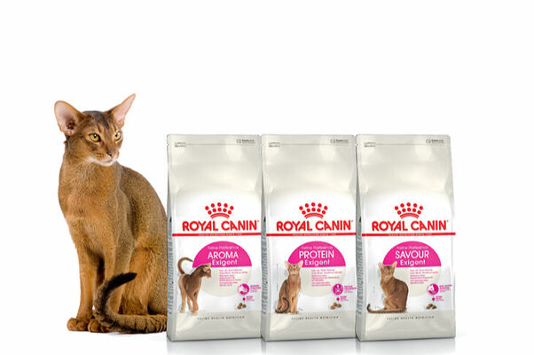 Foto: facebook.com/RoyalCaninLatvia