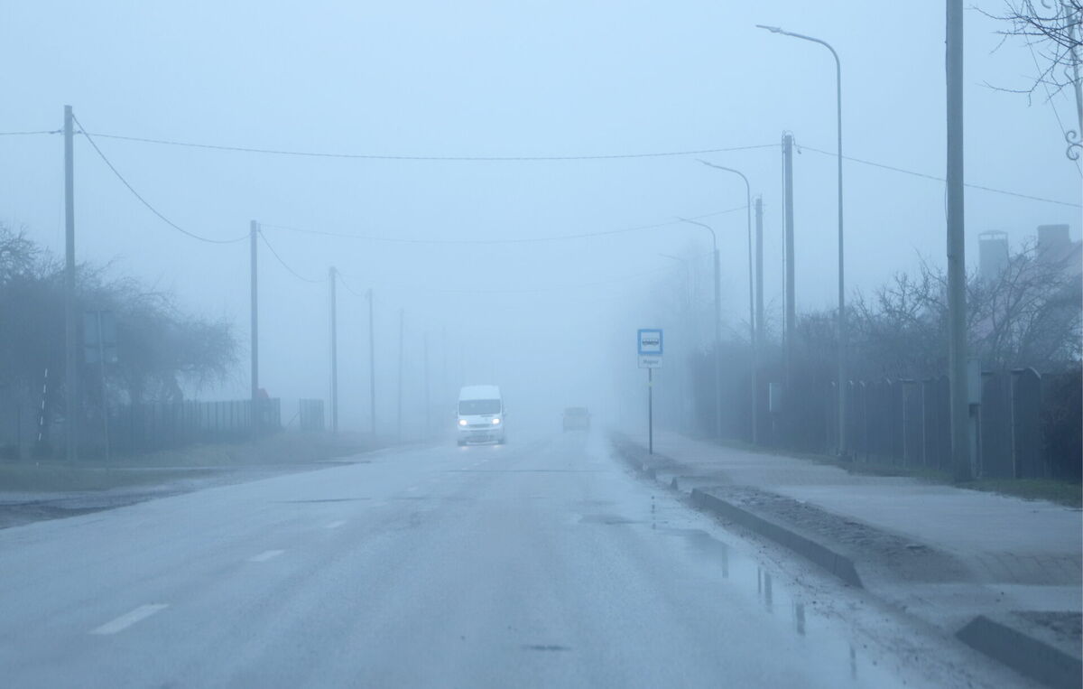 Foto: Līga Gredzena/LETA