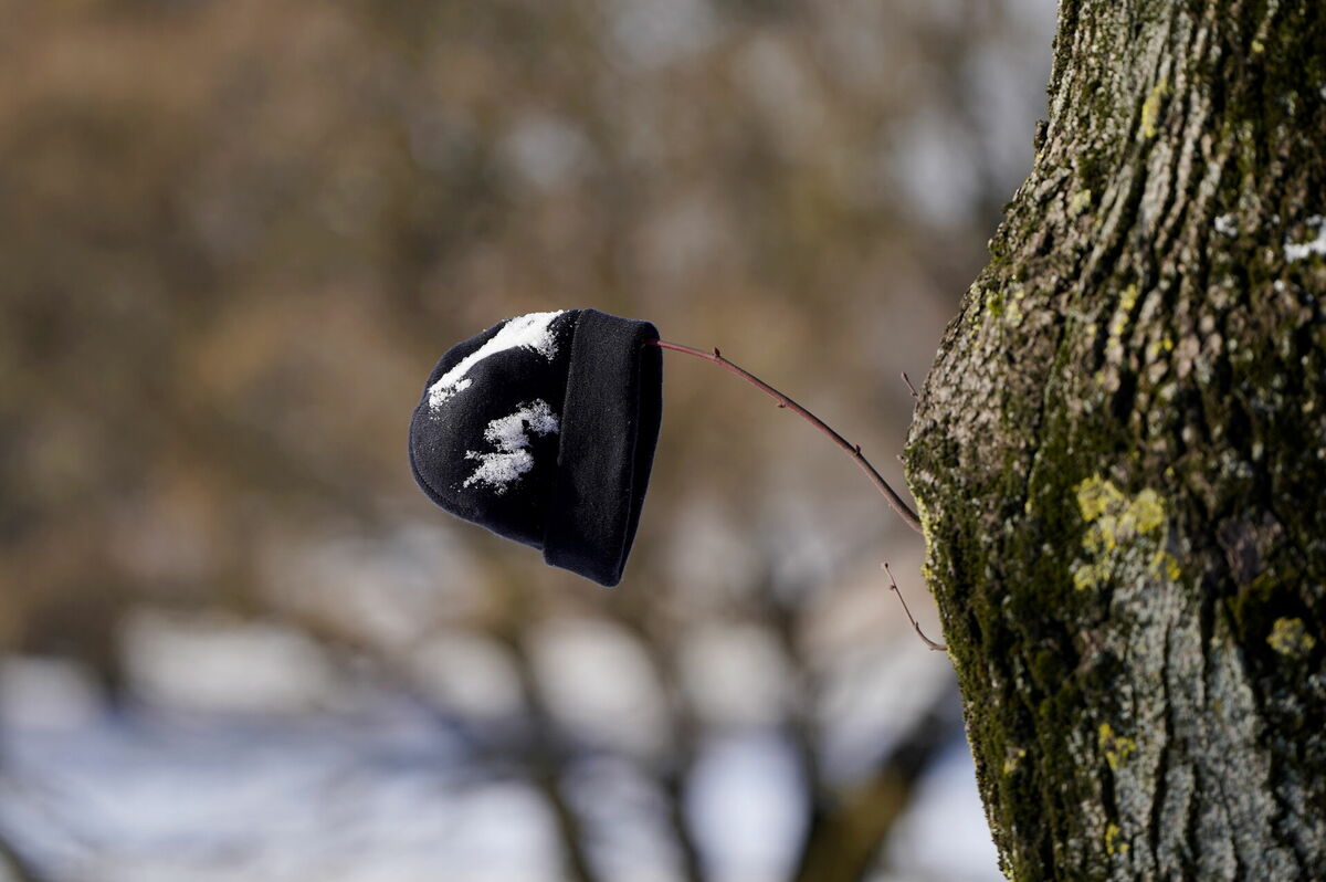 Foto: Zane Bitere/LETA