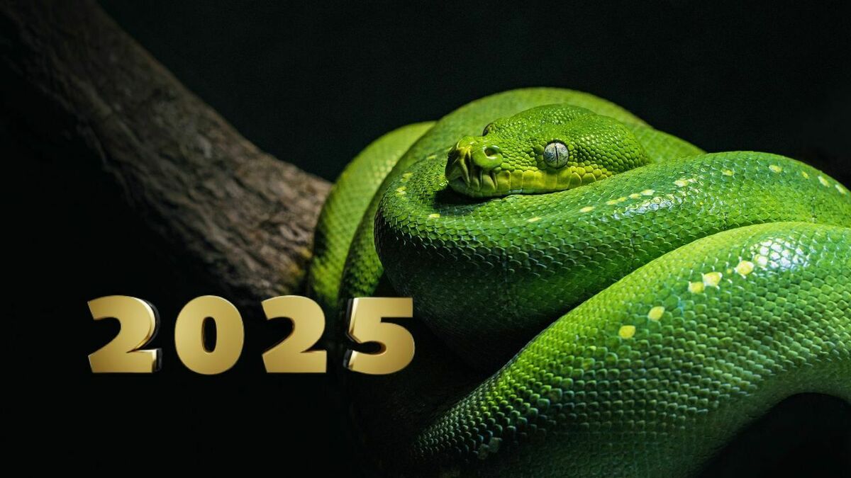 Unplash, 1188.lv kolāža