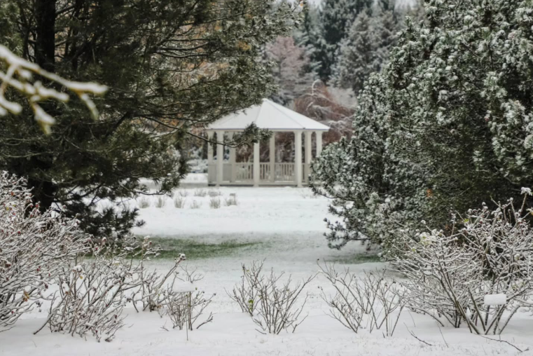 Foto: Publicitātes attēls