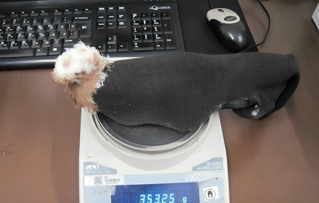  Foto: Ekrānuzņēmums no NEXTA  X(Twitter) profila