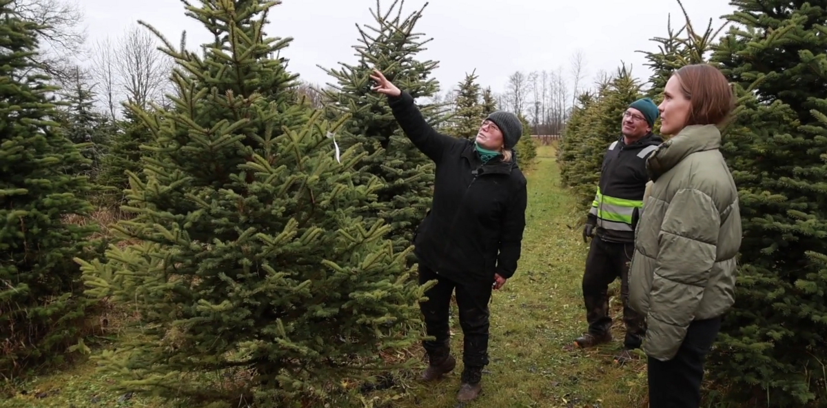 Foto: Ekrānuzņēmums no sižeta