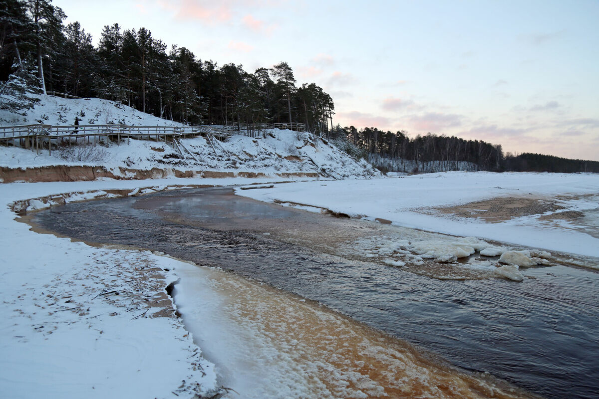 Foto: Edijs Pālens/LETA