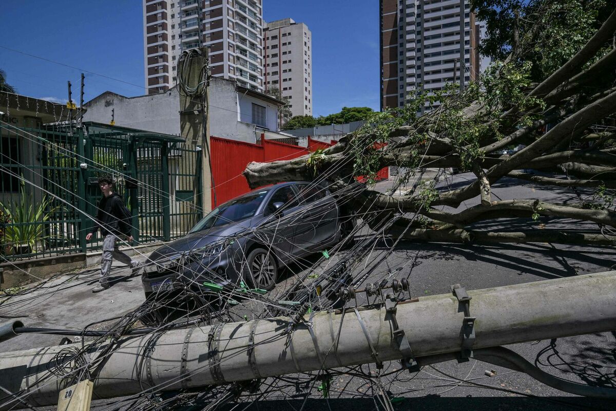 Foto: scanpix/Nelson ALMEIDA / AFP