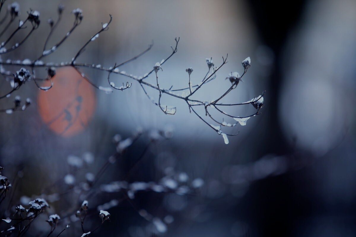 Foto: Ieva Leiniša/LETA