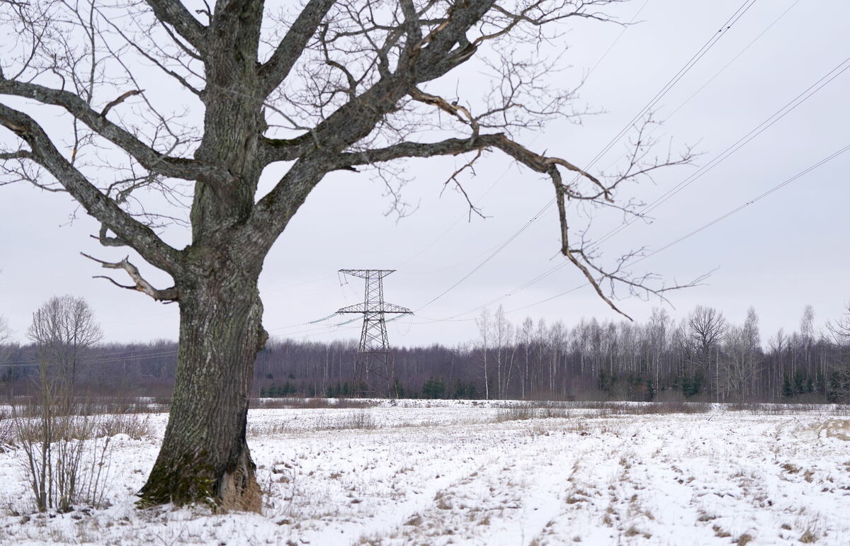 Foto: Ieva Leiniša/LETA