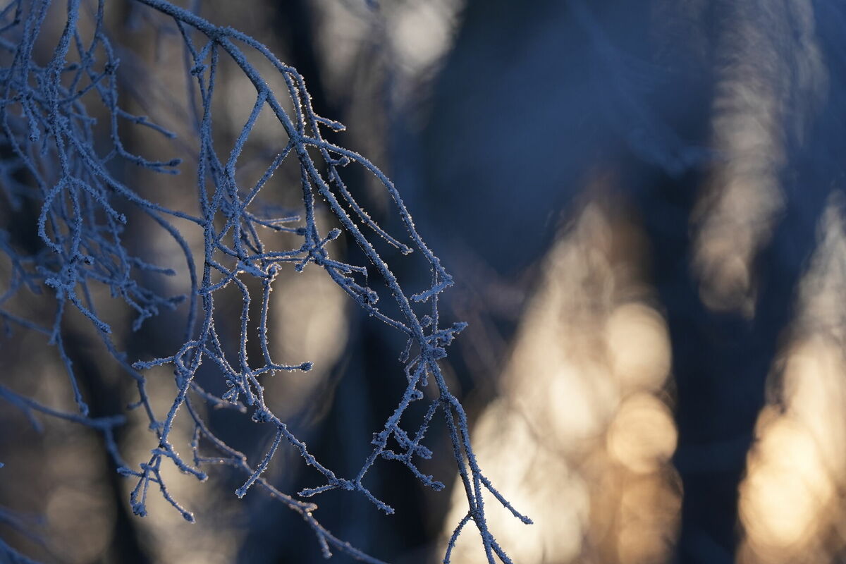 Foto: Evija Trifanova/LETA