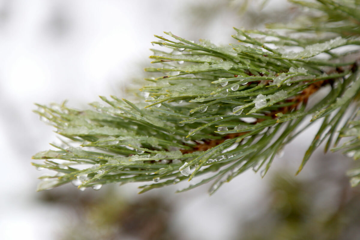 Foto: Evija Trifanova/LETA