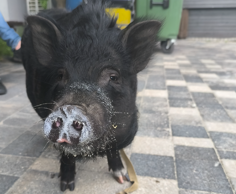 Foto: Vidvuds Rečs "Facebook" arhīvs