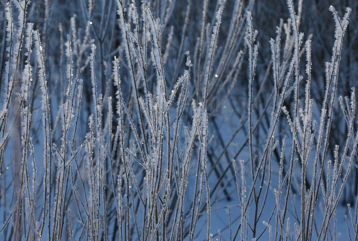 Foto: Evija Trifanova/LETA