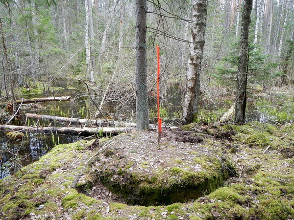 Foto: Iveta Jurjāne SIA METRUM