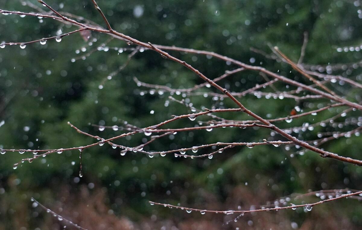 Foto: Zane Bitere/LETA