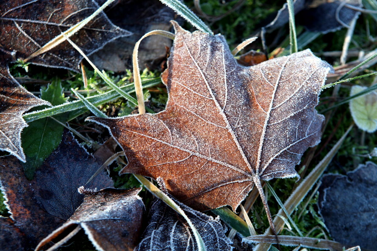 Foto: Edijs Pālens/LETA